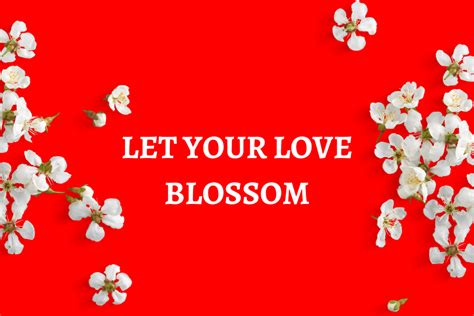 blossoms dating|Blossoms Dating: Discover Romance with .